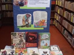 Biblioteka listopad 2016 - 03